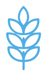 Food icon